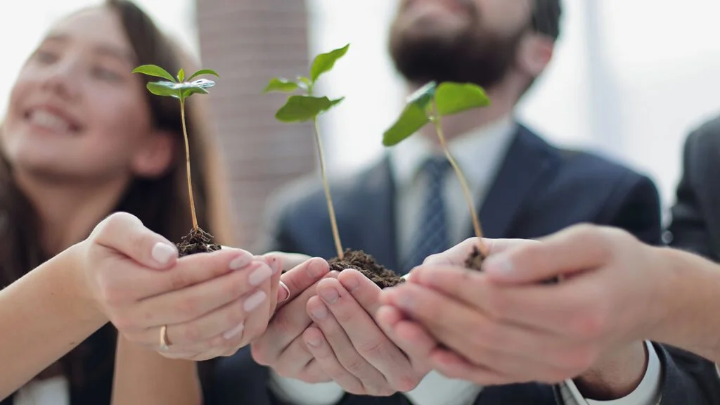 cursos online gratis liderazgo sostenible para la agenda 2030